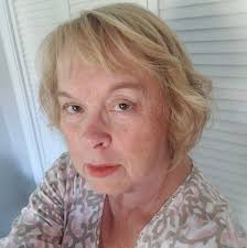 Williamsville's Ice Skating History and Village Changes