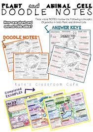 Doodle Notes For Cells Plant And Animal By Kate S Classroom Cafe Teachers Pay Teachers Doodle Notes Biology Classroom Doodles