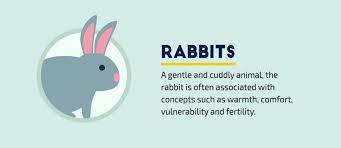 It may also refer to the craving of an individual for the inner child which would obviously mean innocence. 40 Common Symbols And Meanings How To Use Them