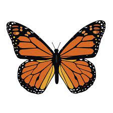 Free Free 344 Butterfly Monarch Svg SVG PNG EPS DXF File