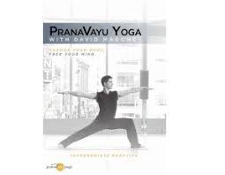 Sweat It Or Skip It Pranavayu Yoga Workout Dvd Yoga Teacher Training Yoga