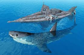 Megalodon teeth and other fossils for sale on this website are personal finds. Megalodon Description Habitat Image Diet And Interesting Facts