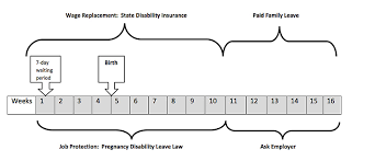 Not Eligible For Fmla Cfra What To Do Tales From A Type
