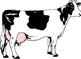 Vector Image Of Cow Full Of Milk Images Of Cows Free Clip Art Animals