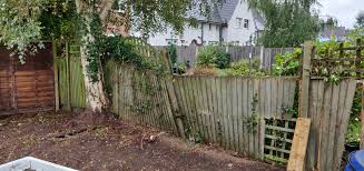 How big of a fence do you need for fruit trees? Fence Vs Tree Overclockers Uk Forums
