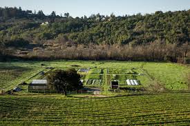 Singlethread Farms Napa Trip Healdsburg California Beautiful Places