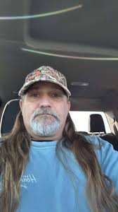 Can anyone recognize these dogs?