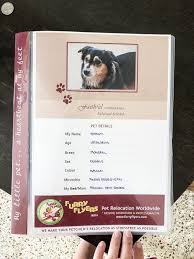 Movers & packers, relocation services, international packers & movers india. Pet Pet Shope Pet Relocation Services India
