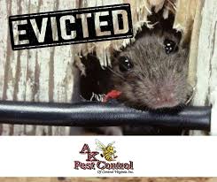 Unfortunately, diy pest control remedies often fail. Ak Pest Control Central Va Posts Facebook