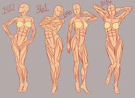 Going back to some of the stuff that i'm better known for. Female Muscle Drawing