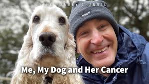 Our First Year With Bruno