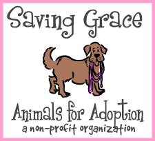 We can only take in as many animals as our foster homes can safely and responsibly care for. Saving Grace Animals For Adoption