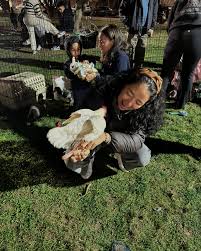 Bartolito se salvó del seco y yo me hice un nuevo amigo. Conquistando y  domando aves en Massachusetts; aplicando bien los 5 años de carrera  universitaria.