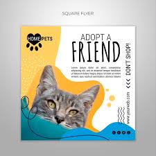 Nancy peterson, cat programs manager. Free Psd Adopt A Pet Square Flyer Template With Photo Of Cat
