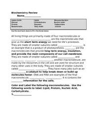 Pin On Biology And Other Sciences