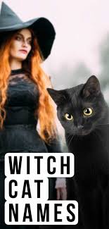 Find the perfect female kitten names with our collection of 500+ popular & unique female cat names. Witch Cat Names Over 350 Magical Ideas For Your New Kitten