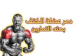 تمارين الكتف shoulder workout exercise movies