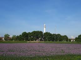 Artikel ini menyediakan kumpulan gambar lucu yang bisa melepas penat dan mengusir capek akan rutinitas harian. Berkumpul Nak Bergambar Dengan Keladi Bunting Viral Di Melaka Tak Pasal Kena Angkut Polis Libur