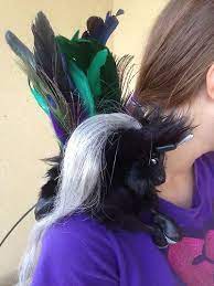 Scas4710 Ebay Puppets Diy Renaissance Festival Pet Dragon
