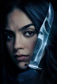 kevin primmer (@foofan60)