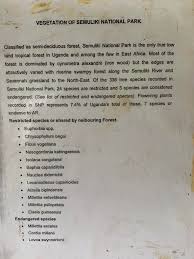 Image result for Millettia psilopetala