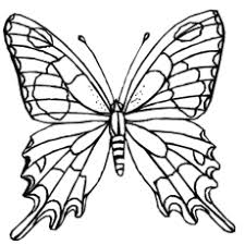 Butterfly coloring pages are created both for toddlers who are just starting to explore the world around them, and for older children with many small details. Top 50 Free Printable Butterfly Coloring Pages Online