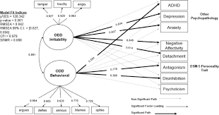 We did not find results for: Irritability And Behavioral Symptom Dimensions Of Oppositional Defiant Disorder In Young Adults Associations With Dsm 5 Pathological Personality Traits Springerlink
