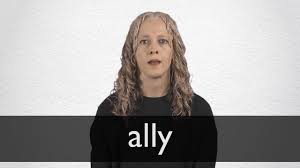 Add image add an image. Ally Definition And Meaning Collins English Dictionary
