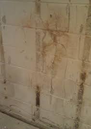 Dangerous molds like toxic black mold (stachybotrys chartarum) can start to grow after a flood. Basement Mold Removal Finding Mold Removal Prevention