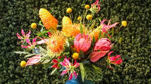 Rate alii tropical hawaiian flowers offers. Take It Tropical Flower Magazine