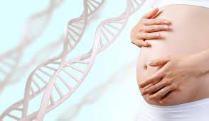 Check spelling or type a new query. Are Prenatal Paternity Test Accurate And Reliable Arcpoint Labs Of Omaha