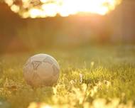 Soccer Fest