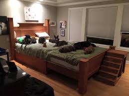 Check spelling or type a new query. This Couple Built A Giant Mega Bed So They Could Sleep With Their 8 Rescue Dogs Bed Extension Giant Bed Diy Dog Bed