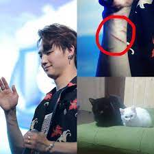 See more ideas about got7, got7 jb, jaebum. Jb Bew Cats Kunta Black And Odd White Got7 Amino