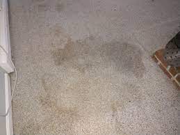 Tyngsboro (ma) has many attractions to explore with its fascinating past, intriguing present and agoda.com offers professional reviews and ratings of hotels in tyngsboro (ma) so you can enjoy the. Carpet Cleaning In Tyngsboro Ma Freedom Carpet Cleaning