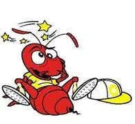Pest control, insect control, termite control. Advanced Pest Control Service Pest Control 4019 W Hwy 70 Durant Ok United States Phone Number Yelp