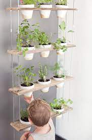 Diy Hanging Herb Garden Tutorial Lifestyle Fresh Mommy Blog Herb Garden Wall Herb Garden In Kitchen Window Herb Garden