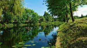 Dumna i szczęśliwa chwali się swoim synem na portalach społecznościowych Augustow Atrakcje Ciekawostki Puszcza Augustowska I Kanal Augustowski Dzien Dobry Tvn