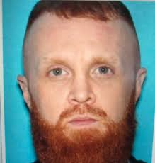 What is the contractor license number? wv063684