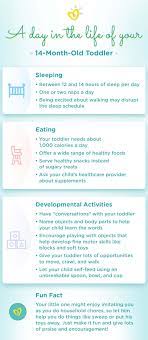 14 month old milestones chart. 14 Month Old Development Milestones Pampers