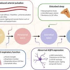 Why select pest control services? Pdf Defining Novel Functions For Cerebrospinal Fluid In Als Pathophysiology