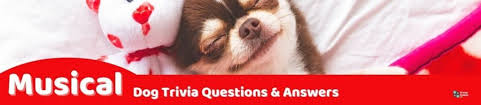 Feb 15, 2021 · dog trivia questions. 71 Fun Dog Trivia Questions And Answers Group Games 101