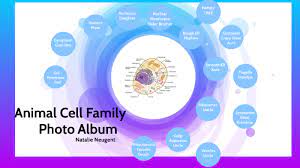Difference between animal & plant cells. Cell Family Photo Album By Natalie Neugent