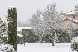 Viens jouer au puzzle il neige dans mon jardin 05, un de nos meilleurs puzzles paysages gratuit. Il Neige Dans Mon Jardin Alain Molesti