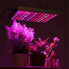 Full spectrum led grow lights aquarium. 1500w 144 Led Plant Grow Light Lamp Full Spectrum Indoor Greenhouse Tent Hydroponic Aquarium Adjustable Plant Growth Lamp 85 265v Walmart Canada