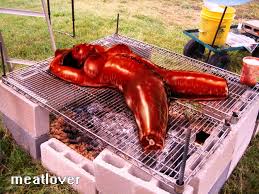 dolcett volunteer pigs | MOTHERLESS.COM ™