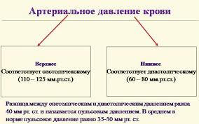 какая должна быть разница между верхним и нижним давлением Arterialnoe Davlenie Bolshaya Raznica Mezhdu Verhnim I Nizhnim Davleniem Chto Nuzhno Znat O Krovyanom Davlenii Biblioteka Centr Tibetskoj Mediciny Kunpen Delek