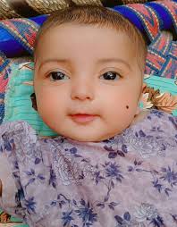 What do you see in the image?