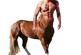 Pin On Centaur