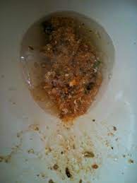 Sick in toilet sick on toilet man vomiting alcohol vomiting a drunken man to vomit cartoon hangover vomiting cartoon man in the toilet sick addict. Four Horsemen Challenge Consequences Markstenberg